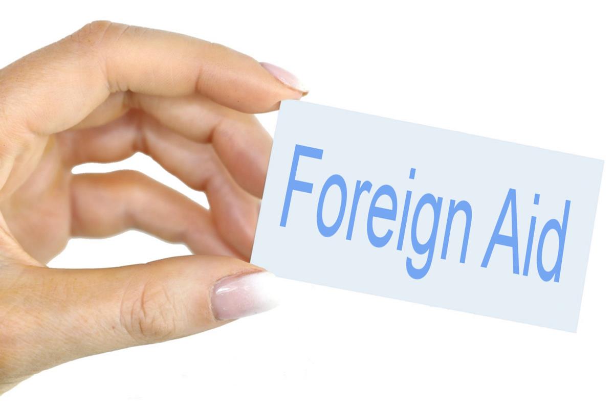 2.4 Foreign assistance and international cooperation